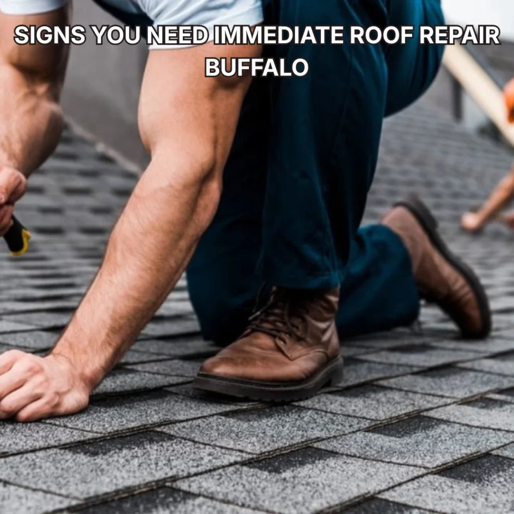 Signs You Need Immediate Roof Repair Buffalo